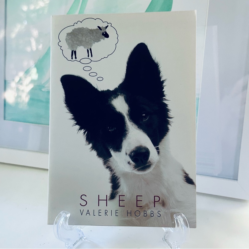 NEW 💭🐑  Sheep YA Novel Valerie Hobbs Paperback